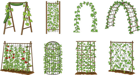 Climbing plants and garden trellis illustration set, vine supports arches pergola cucumber tomato vertical gardening system © Sree