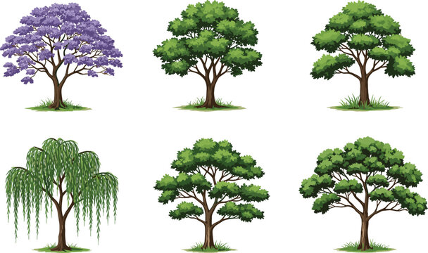 Different types of trees illustration set, jacaranda willow oak maple forest nature green foliage collection