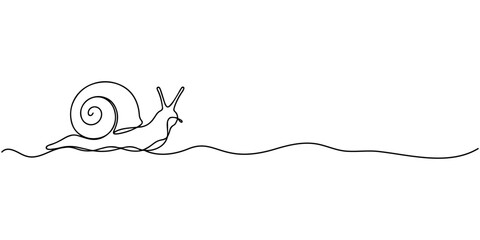 snail conch continuous line vector illustration, Continuous line drawing of conch snail shell. Single line illustration of ocean conch shell, Snail continuous one line drawing isolated on white © Parboti