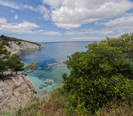 Fototapeta premium The seashore from above. A view of the trees and clear water in the bay.