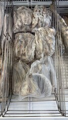 Frozen sea fish assortment in transparent bags displayed in freezer  