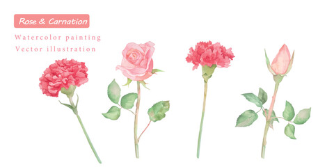 カーネーションとバラの水彩ボタニカルベクターイラストセット