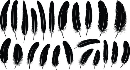 Black feather silhouette collection with realistic bird plumage shapes, decorative natural vector elements set isolated on white background © All in one