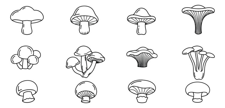 Hand drawn line art mushroom icon set featuring various fungi species for culinary and nature designs