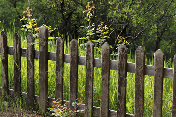 Naklejka premium View of a wooden fence into the nature