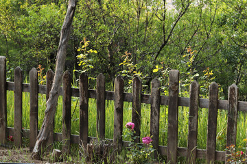 Naklejka premium View of a wooden fence into the nature