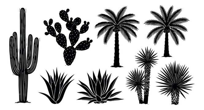 Stylized desert and tropical plant set featuring saguaro, prickly pear, palm trees, agave, and yucca for nature themed designs