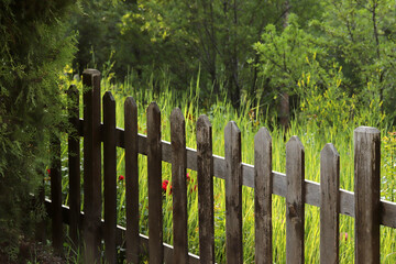 Obraz premium View of a wooden fence into the nature
