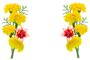 Obraz premium Lilies. Yellow autumn marigold flowers on a white background. Frame. Floral arrangement. Copy space.