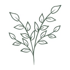 Black and white floral ornament vector illustration.