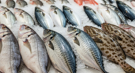 Fish on Ice at Market