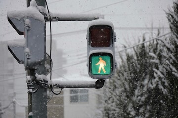雪の日の歩行者信号