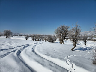 Fototapeta premium Snow-covered winter landscape with leafless trees, tire tracks and footprints in the snow, distant mountains, and a bright blue sky creating a peaceful scenic view. 📍Marivan, Kurdistan 