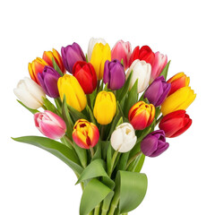 Naklejka premium Vibrant bouquet of tulips in various colors isolated on transparent background