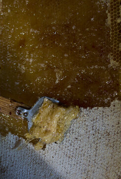 beekeeper lifestyle