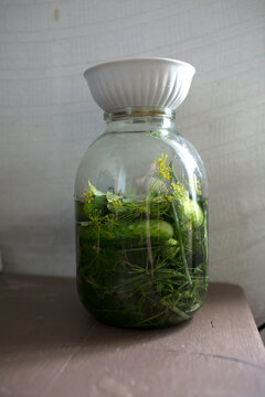 Homemade pickled cucumbers in brine on rustic wooden table