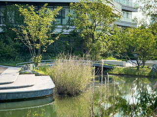Tranquil Urban Oasis: A Beautiful Reflection of Nature and Architecture