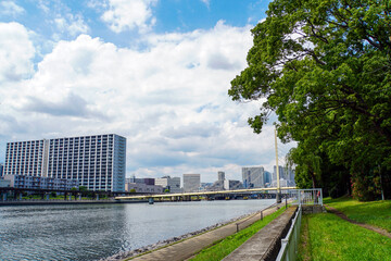 大都会を流れる川べりの緑に囲まれた遊歩道