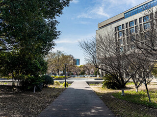 Tranquil Pathway Through Lush Greenery Leading to Architectural Beauty