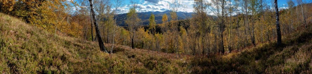 Panoramic nature landscape, soft pastel colors, dream nature, sunset autumn background, peaceful amazing nature panorama