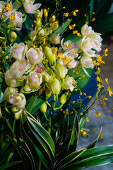 Obraz premium A close-up view of vibrant orchid flowers in various stages of bloom, surrounded by lush green leaves and bright yellow accents. The flowers exhibit delicate petals in shades of white and pale yellow,