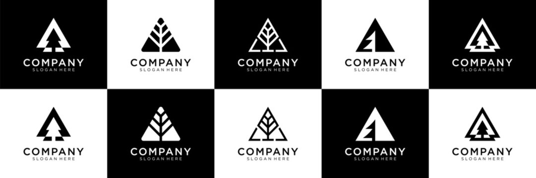 Set of abstract pine tree with letter A logo design. Universal icon for business and branding. minimalist elegant design vector illustration.