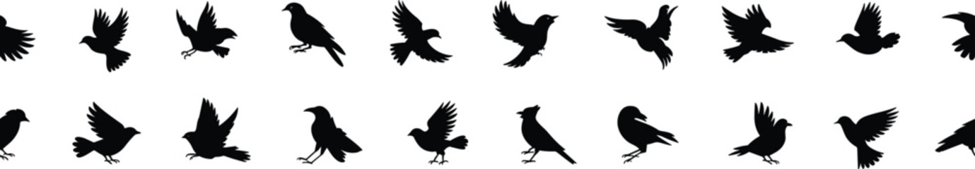 Naklejka premium Flying and perched bird silhouettes collection showing crow and small birds in different wing positions isolated on white vector