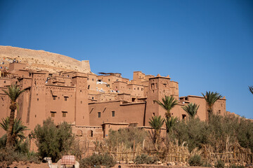 Obraz premium Dromedary camel (Camelus dromedarius) on the bank of a river outside the walls of the fortified city of Ait Benhaddou, Morocco