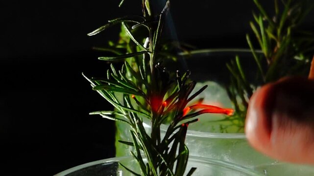 Delicious alcoholic cocktail made with jin tonic and ice in glasses for relaxing at night and refreshing in the summer. Spices and green lime for flavor. Bartender and bar. Rosemary burns with fire