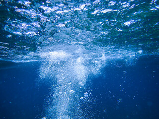Fototapeta premium Air bubbles underwater rising to water surface, natural scene, bubbles under water, bubble undersea, sea in crystal clear green water. Real image very suitable for backgrounds, Great for background.