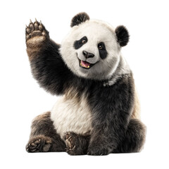 Obraz premium PNG of A friendly panda waving joyfully, showcasing its iconic black and white fur.