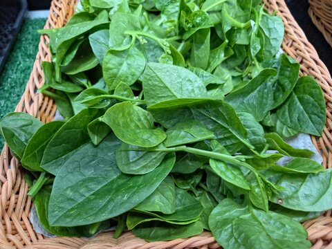 Fresh Green Ceylon Spinach Leaves and Stems in a Wicker Basket