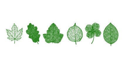 A detailed illustration set of various leaf shapes inspired by nature and botanical themes. © putri rahayu