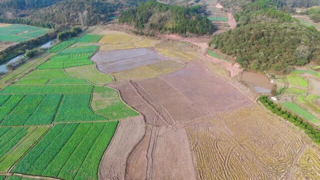 Aerial Agricultural Farmland with Crop Fields and Forest