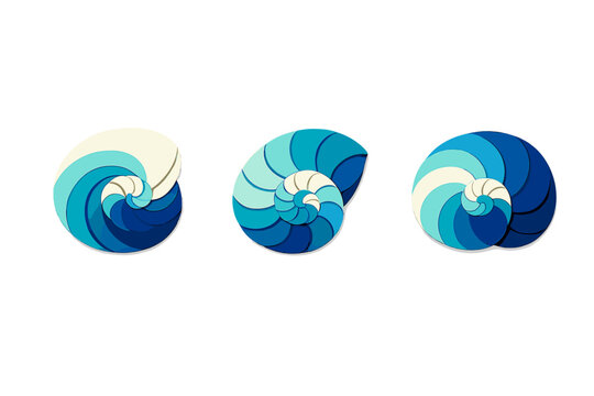 Three stylized nautilus shells featuring layered spiral designs in various shades of blue and cream are arranged horizontally against a solid black background.