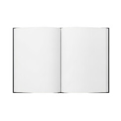 A simple white room divider with two panels and a thin black frame. isolated on transparent background