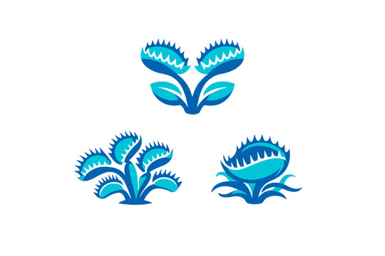 A collection of three blue Venus flytrap illustrations displayed on a black background. Each plant shows distinct carnivorous traps with jagged edges and stylized foliage.