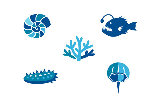 A collection of five blue marine life icons including a nautilus shell, anglerfish, coral, sea cucumber, and horseshoe crab, all set against a solid black background.