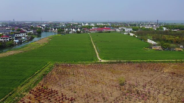 Aerial View of Rural Farmland and Village with Planted Crops