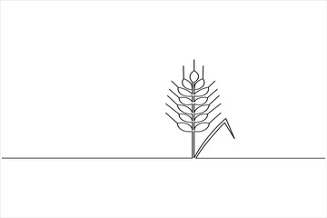 Wheat stalk one line art vector drawing isolated on white background © SabidSorker