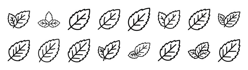 Collection of mint leaf different kitchen outlines silhouette icon set. © Gajendro