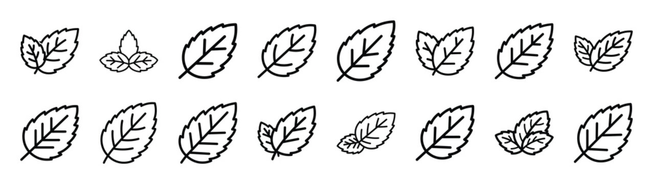 Collection of mint leaf different kitchen outlines silhouette icon set.