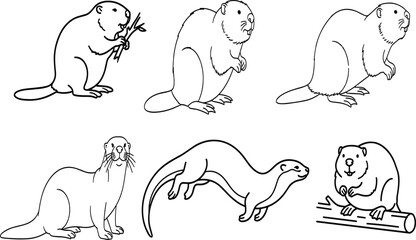 Collection of Beaver and Otter Line Art Vector Illustrations Featuring Semi Aquatic Mammals and River Animals Ideal for Educational Coloring Books and Nature Graphic Projects © Shaymal