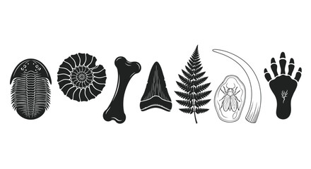 Fossils Vector Icon Collection © Ishara sandeepa
