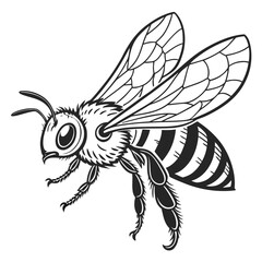 Obraz premium Black and white of a bee in flight insect striped wings