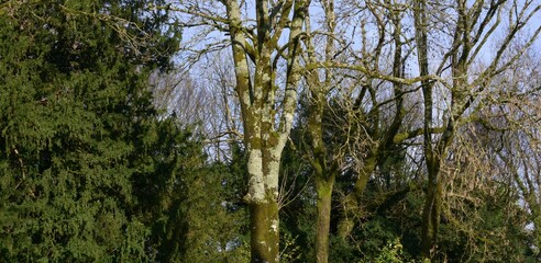 La campagne &agrave; Briec en Bretagne Finist&egrave;re