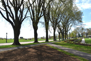 Obraz premium The Plains of Abraham in spring, Québec, Canada