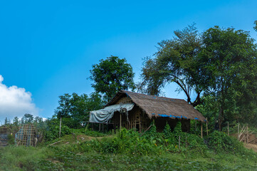Obraz premium A small hut on a hill with trees and a blue sky