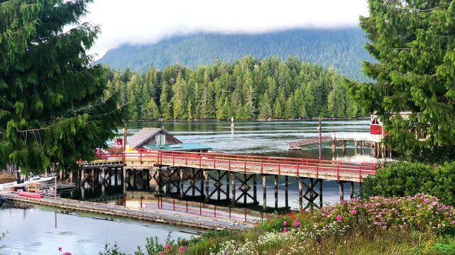 Tofino, harbour and green forest in the morning. Canada