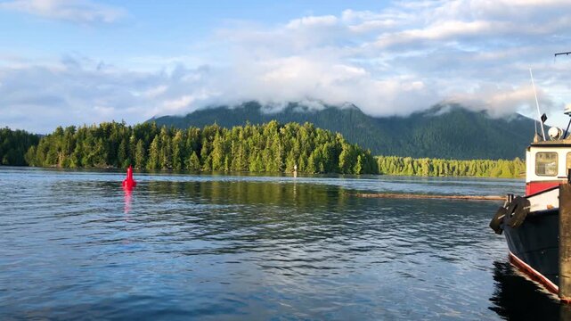 Tofino, Boat, harbour and green forest in the morning. Canada
